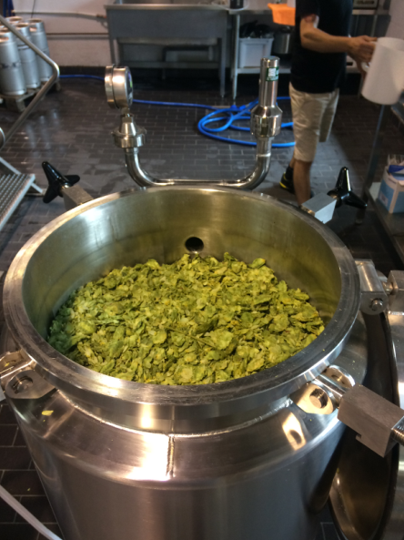 cascade_hop_back